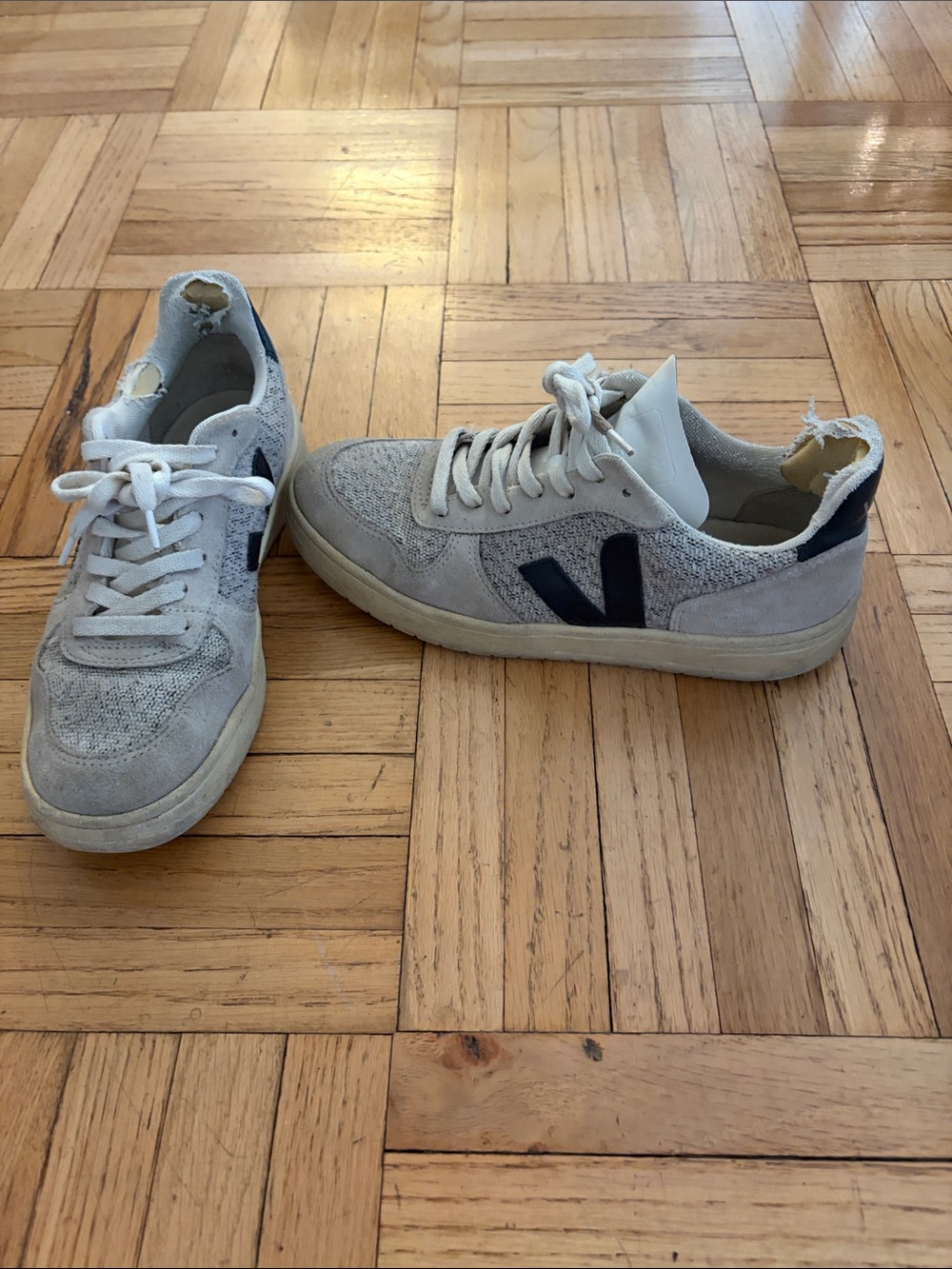 Veja Low-Top Sneakers in Light Gray with Black V